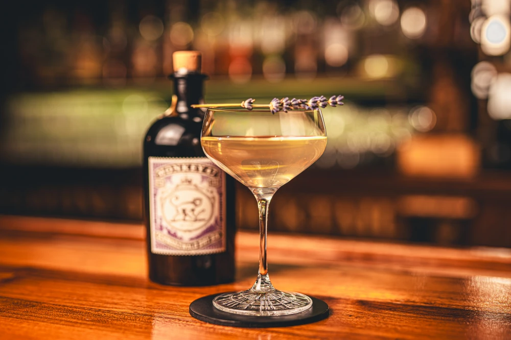 Cocktail on the bar
